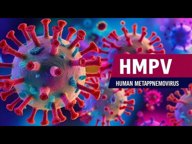 HMPV Virus