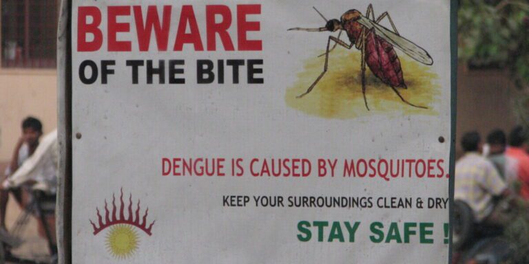 banner creating awareness about Dengue